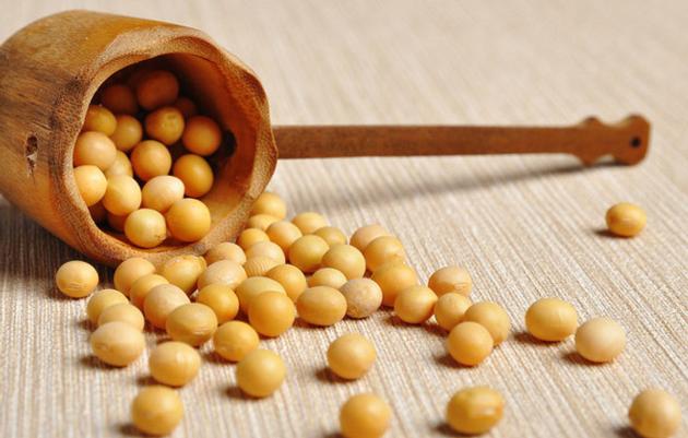 Soybean