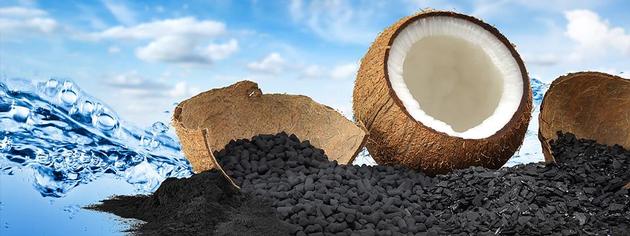 Coconut Shell Based Activated Carbon