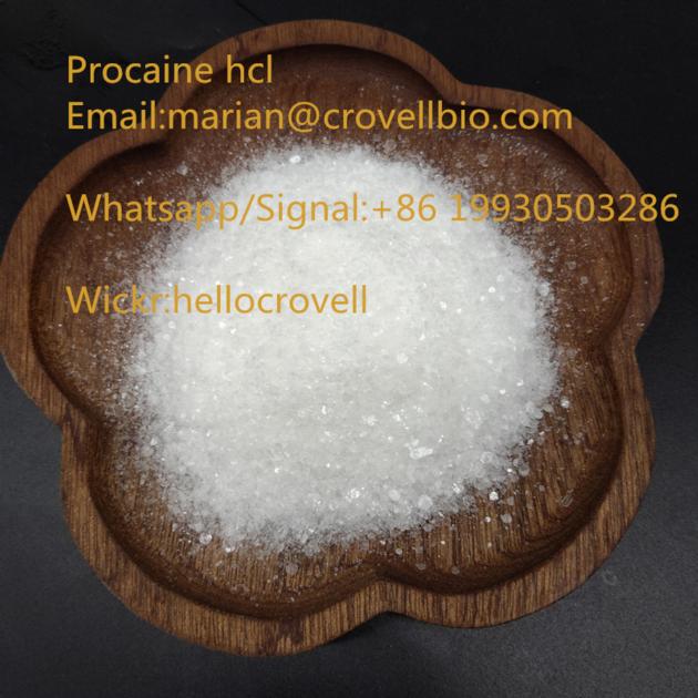 Supply high quality Procaine HCL procaine for sale marian@crovellbio.com Whatsapp +86 19930503286