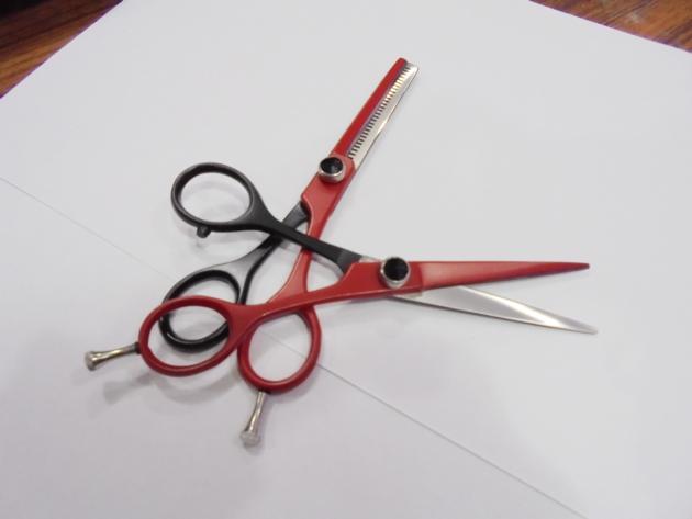 Professional Hair Dressing And Thinning Scissors