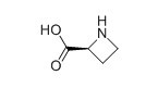 L-Azetidine carboxylic acid