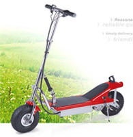 HOT Sell Electric Scooter with CE certificate DR24300