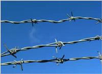 Traditional Twist Barbed Wire