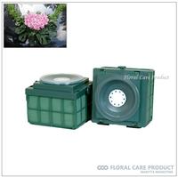 Auto Glass Holder