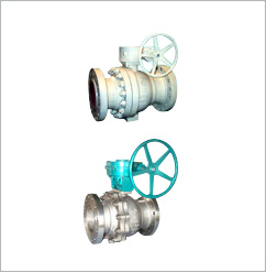 gate valve globe valve check gate valve ball valve butterfly valve  plug valve electric station
