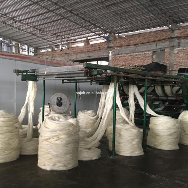 Sisal Fiber