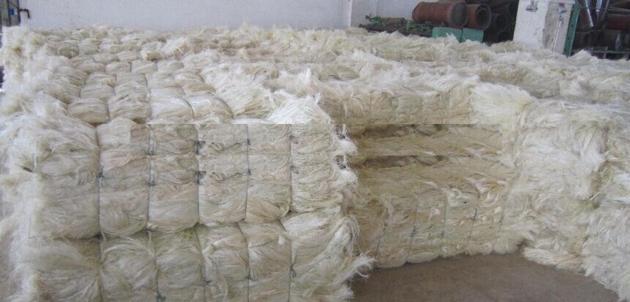 Sisal Fiber