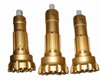 DTH hammer and bits