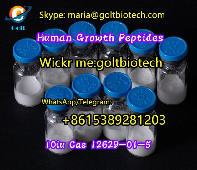 HGH Human Growth Hormone ghrp-2, ghrp-6, Mgf, peg-mgf, ctc-1295 Semorelin, Hexarelin, pt-141, Melano
