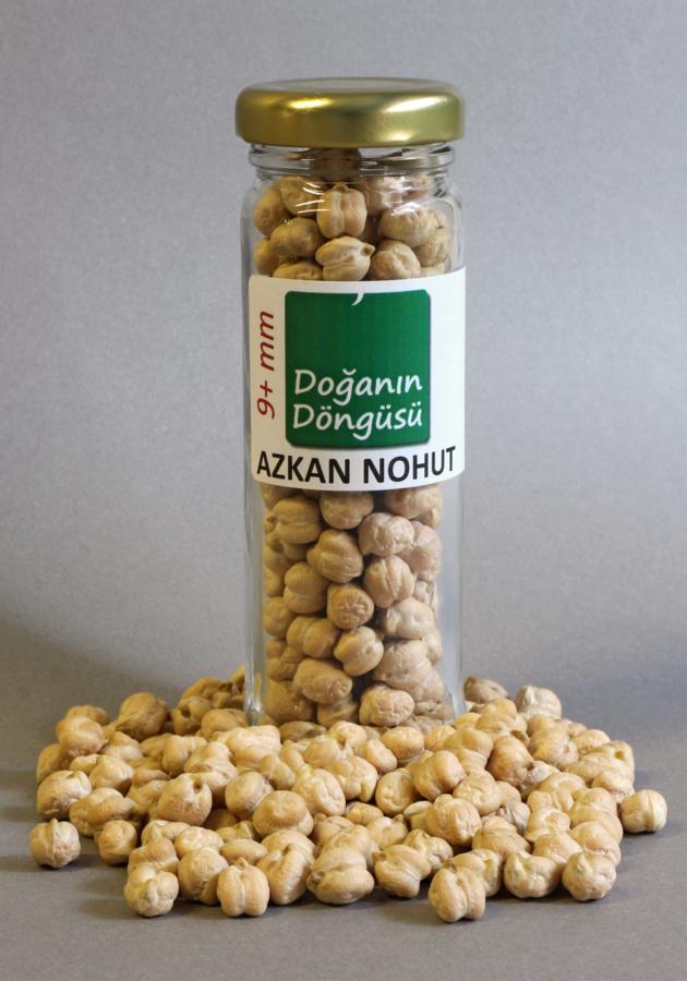 Kabuli Chickpea