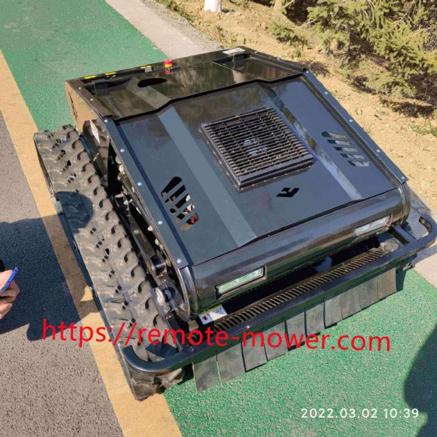 Popular Hybrid Gasoline Power Radio Controlled