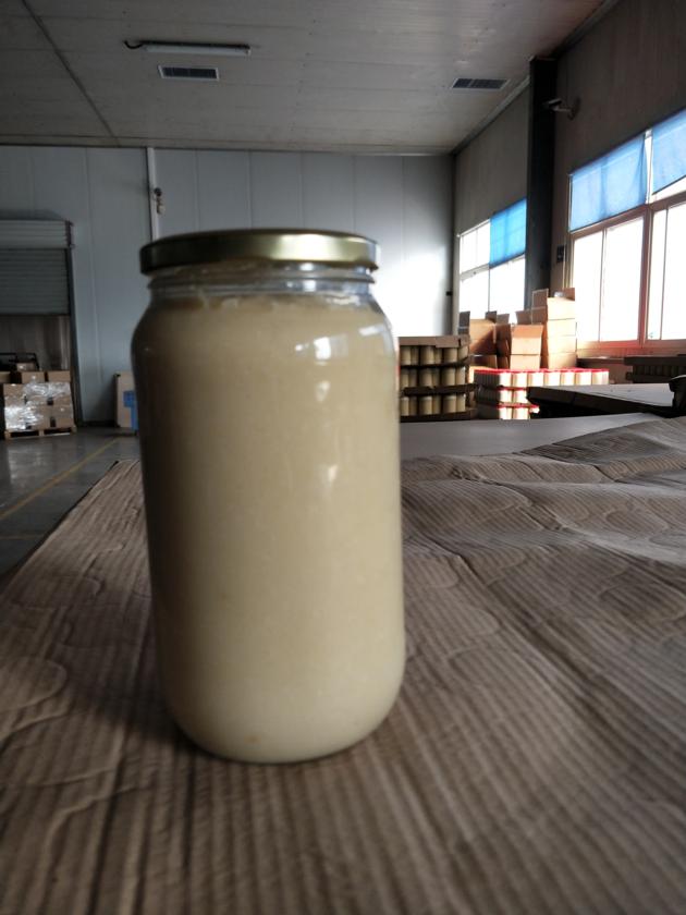 Garlic Paste