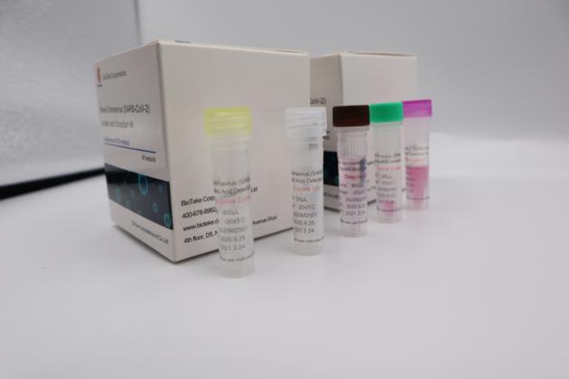 Covid19 Sars Cov 2 Virus Detection