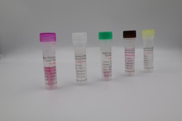 Covid19 Sars Cov 2 Virus Detection