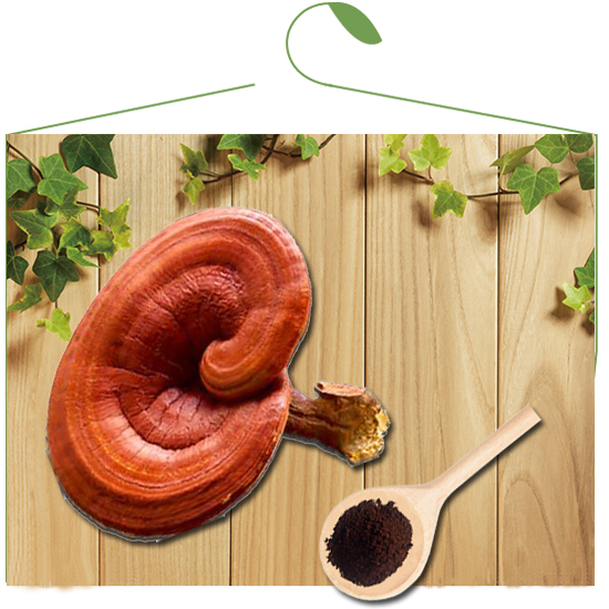 Organic Fungus Extract 