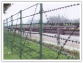 barbed wire