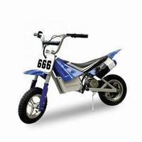 2011 HOT SELL Mini electric motorcycle: DX250
