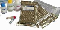 Chloramphenicol ELISA Kit