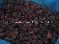 IQF Frozen Blueberry
