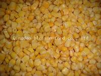 IQF Frozen Sweet Corn