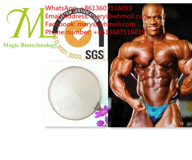 Testosterone Decanoate Mary Whmoli Com Body