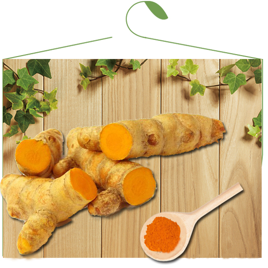 Turmeric Extract Curcumin 