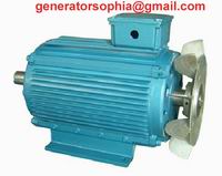 permanent magnet alternator