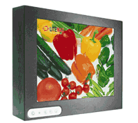 Litemax Durapixel LED backlighted VHB LCD