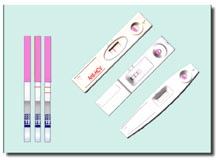 One Step Hepatitis C (Anti-HCV) Test (Strip and Cassette Format)