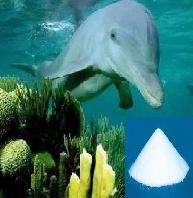 sea beasts type sea salt