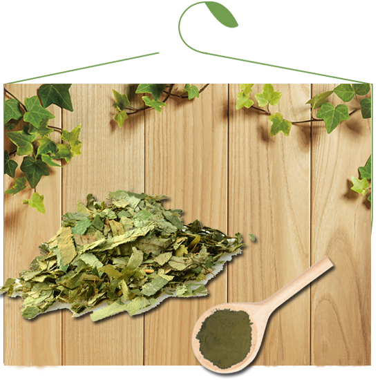 Epimedium Extract Icariin
