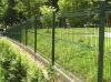 fence