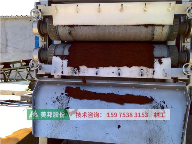 Cocopeat Dewatering Belt Filter Press