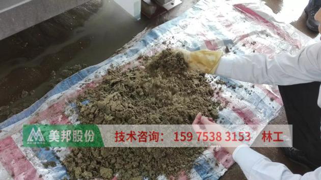 Belt Filter Press Of Dewatering Cow