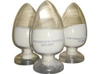Chondroitin Sulfate (Bovine)  95 %