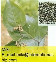 Anemarhenae Asphodeliodes Extract 4:1
