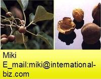 Terminalia bellerica Extract