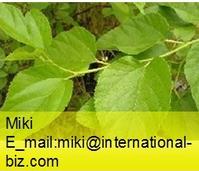 Mulberry extract