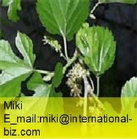 Sodium copper chlorophyll