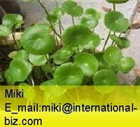 Gotu Kola P.E 