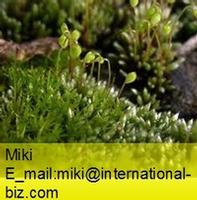 silvergreen bryum moss extract