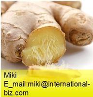 Ginger Root Extract 
