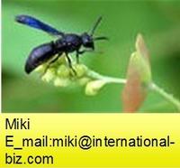 Male Silk Moth extract