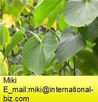 Kava Extract 
