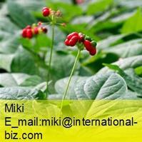 Ginseng Root ( American ) Extract 