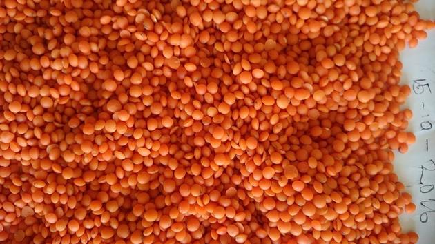 CHICKPEAS /RED LENTILS/ KEDNEY BEANS