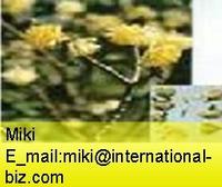 Buddleia Yellow