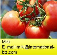 Lycopene