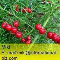 Asparagus Root Extract 