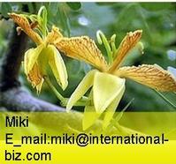 Tamarind Color 